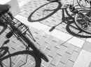 Two Bicycles Beijing 06 